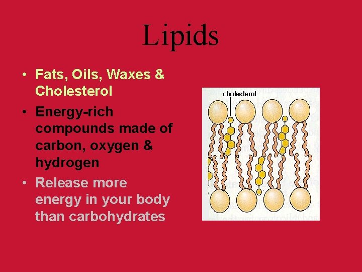 Lipids • Fats, Oils, Waxes & Cholesterol • Energy-rich compounds made of carbon, oxygen