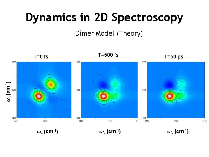 Dynamics in 2 D Spectroscopy Dimer Model (Theory) T=500 fs T=50 ps ωt (cm-1)