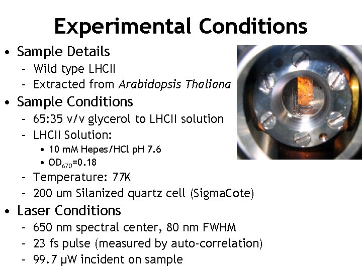 Experimental Conditions • Sample Details – Wild type LHCII – Extracted from Arabidopsis Thaliana