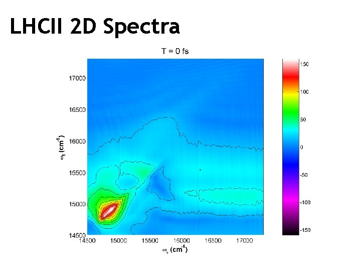 LHCII 2 D Spectra 