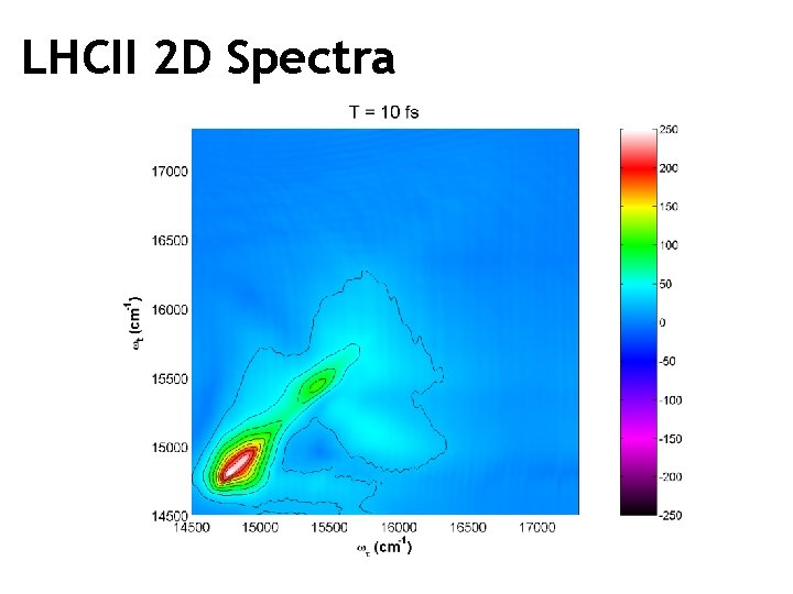 LHCII 2 D Spectra 