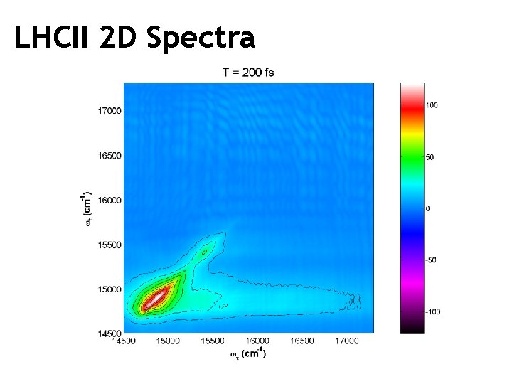 LHCII 2 D Spectra 