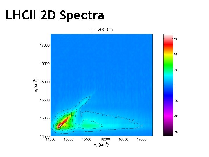 LHCII 2 D Spectra 