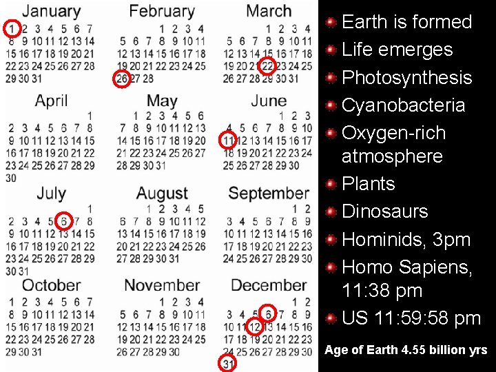 Earth is formed Life emerges Photosynthesis Cyanobacteria Oxygen-rich atmosphere Plants Dinosaurs Hominids, 3 pm