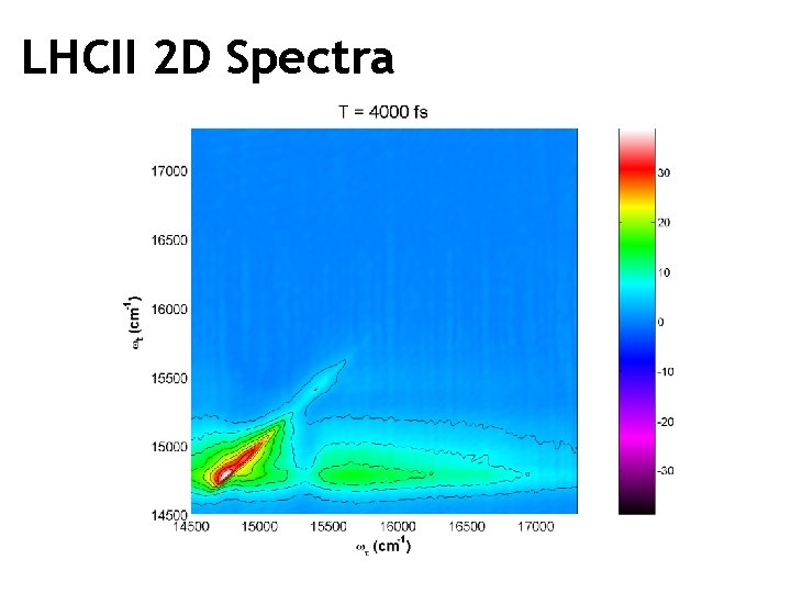 LHCII 2 D Spectra 