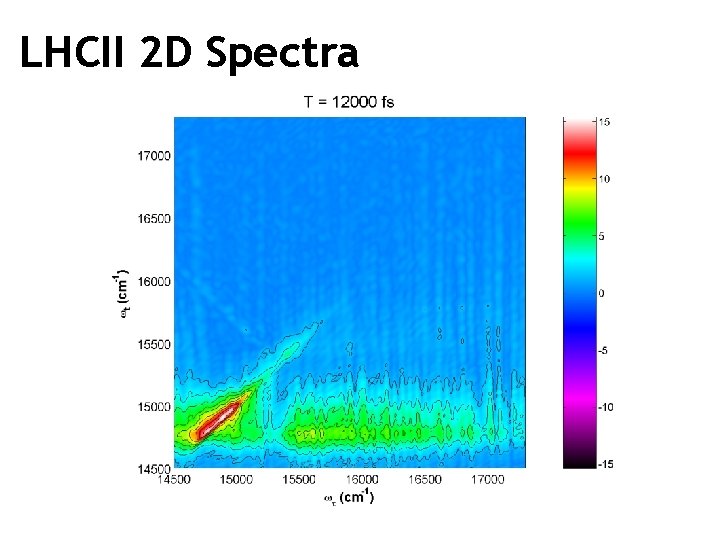 LHCII 2 D Spectra 