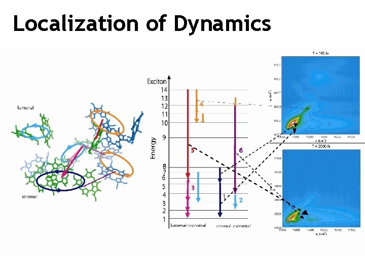 Localization of Dynamics 