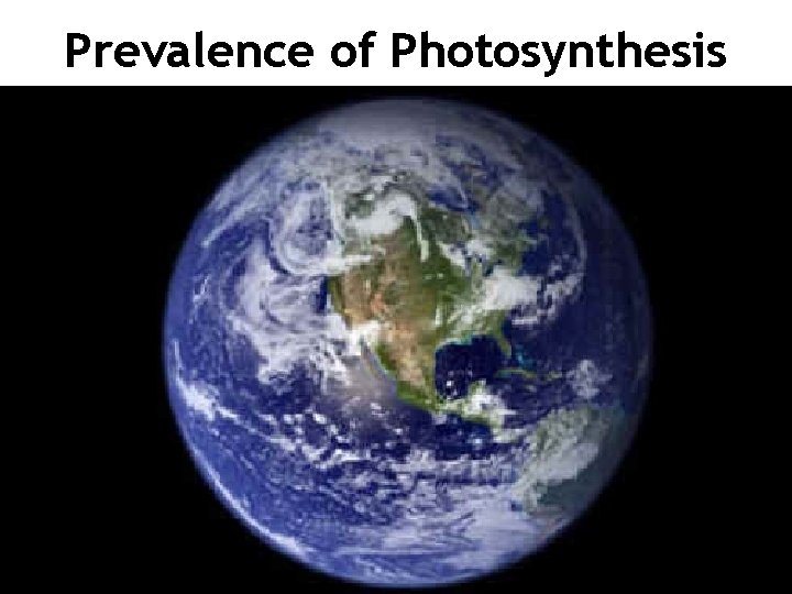 Prevalence of Photosynthesis 