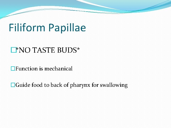 Filiform Papillae �*NO TASTE BUDS* �Function is mechanical �Guide food to back of pharynx