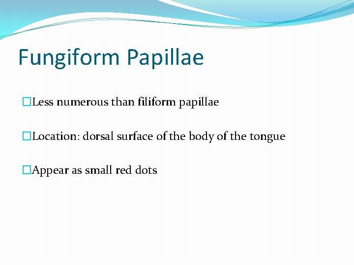 Fungiform Papillae �Less numerous than filiform papillae �Location: dorsal surface of the body of