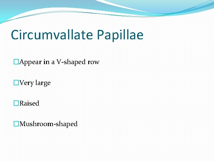 Circumvallate Papillae �Appear in a V-shaped row �Very large �Raised �Mushroom-shaped 