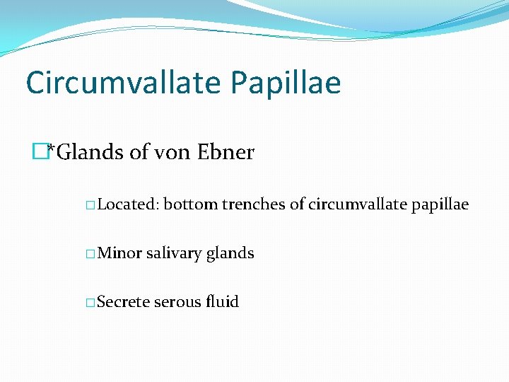 Circumvallate Papillae �*Glands of von Ebner �Located: �Minor bottom trenches of circumvallate papillae salivary