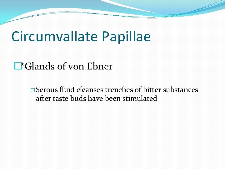 Circumvallate Papillae �*Glands of von Ebner � Serous fluid cleanses trenches of bitter substances