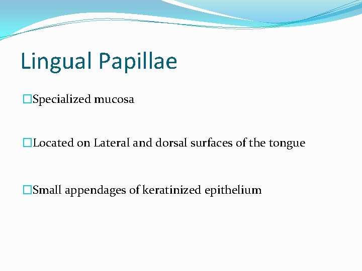 Lingual Papillae �Specialized mucosa �Located on Lateral and dorsal surfaces of the tongue �Small
