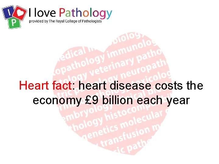 Heart fact: heart disease costs the economy £ 9 billion each year 