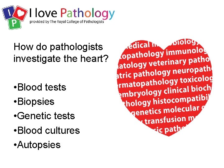 How do pathologists investigate the heart? • Blood tests • Biopsies • Genetic tests