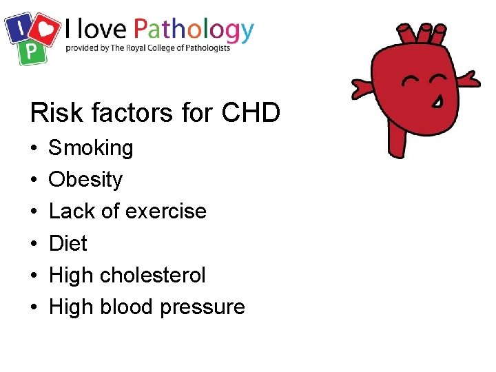 Risk factors for CHD • • • Smoking Obesity Lack of exercise Diet High