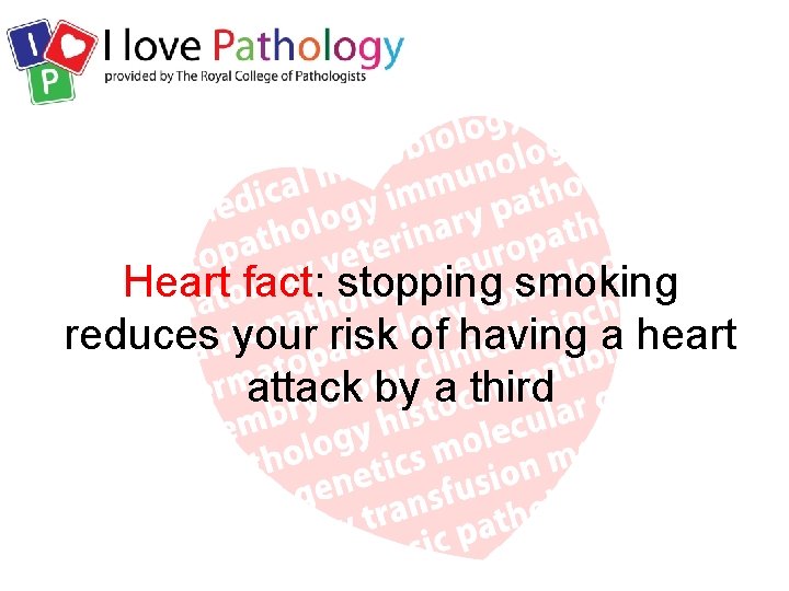 Heart fact: stopping smoking reduces your risk of having a heart attack by a