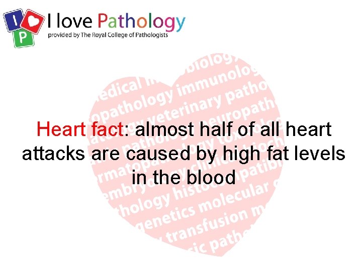 Heart fact: almost half of all heart attacks are caused by high fat levels