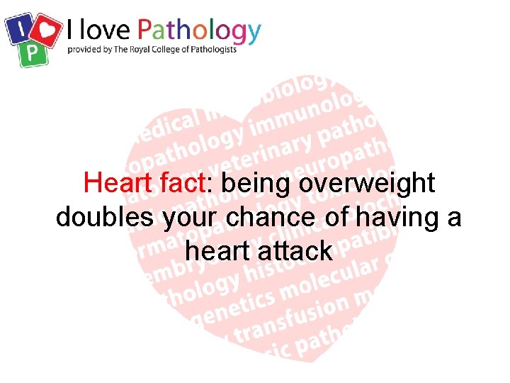 Heart fact: being overweight doubles your chance of having a heart attack 