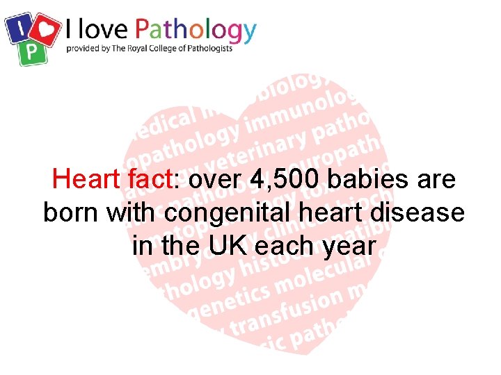 Heart fact: over 4, 500 babies are born with congenital heart disease in the