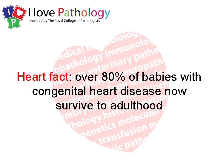 Heart fact: over 80% of babies with congenital heart disease now survive to adulthood
