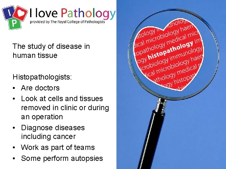 The study of disease in human tissue Histopathologists: • Are doctors • Look at