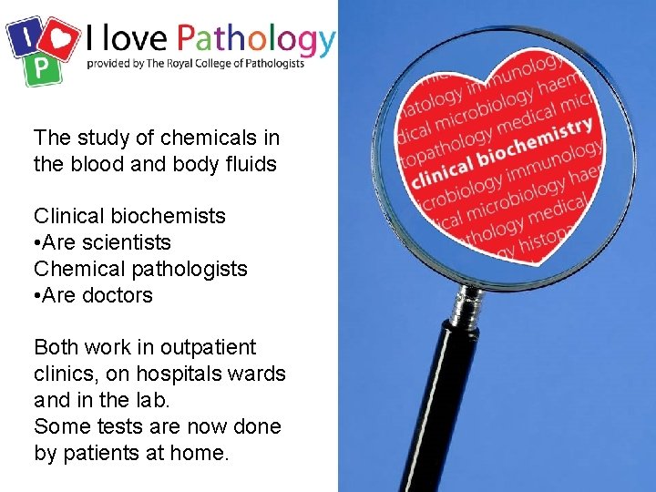 The study of chemicals in the blood and body fluids Clinical biochemists • Are