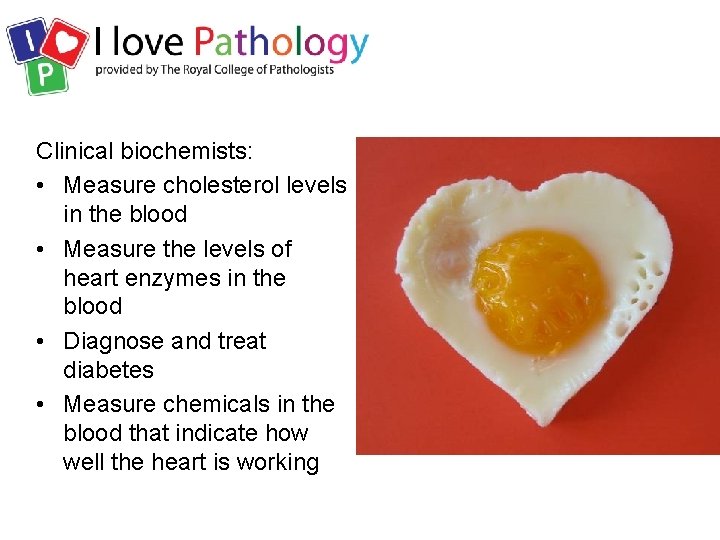 Clinical biochemists: • Measure cholesterol levels in the blood • Measure the levels of