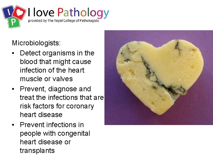 Microbiologists: • Detect organisms in the blood that might cause infection of the heart