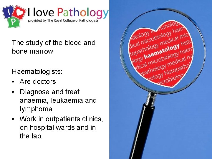The study of the blood and bone marrow Haematologists: • Are doctors • Diagnose