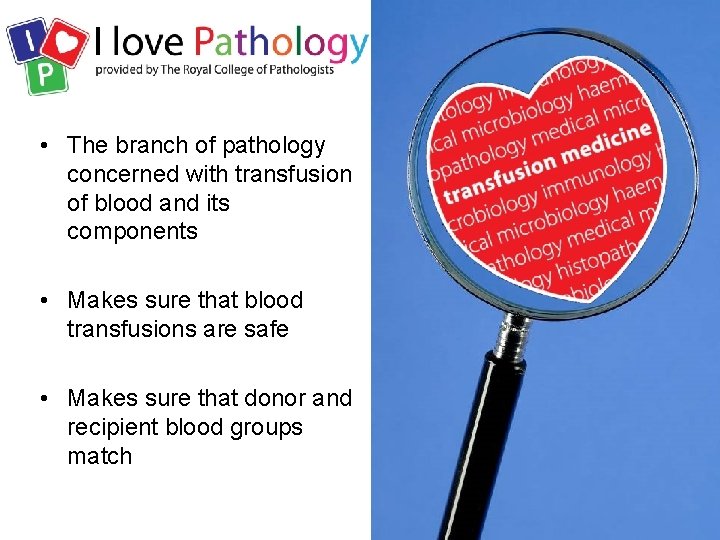  • The branch of pathology concerned with transfusion of blood and its components