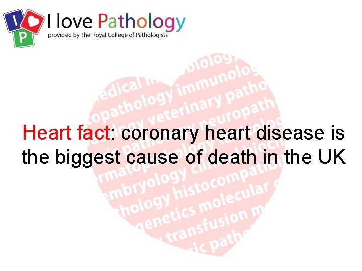 Heart fact: coronary heart disease is the biggest cause of death in the UK