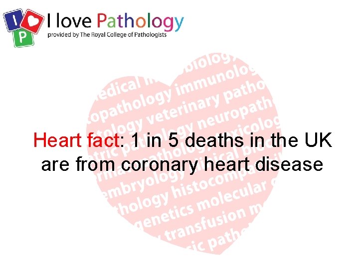 Heart fact: 1 in 5 deaths in the UK are from coronary heart disease