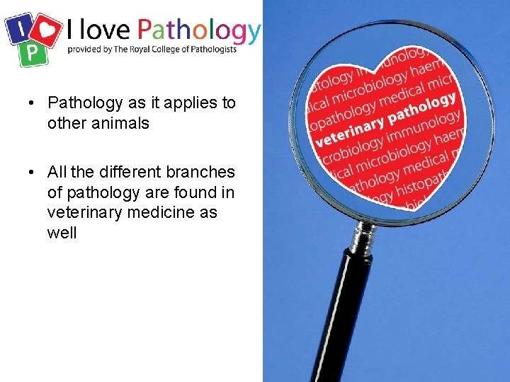  • Pathology as it applies to other animals • All the different branches