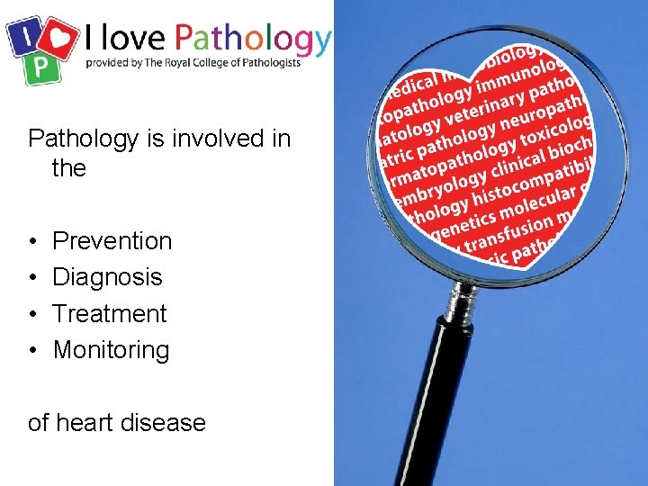Pathology is involved in the • • Prevention Diagnosis Treatment Monitoring of heart disease