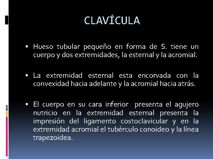 CLAVÍCULA Hueso tubular pequeño en forma de S. tiene un cuerpo y dos extremidades,