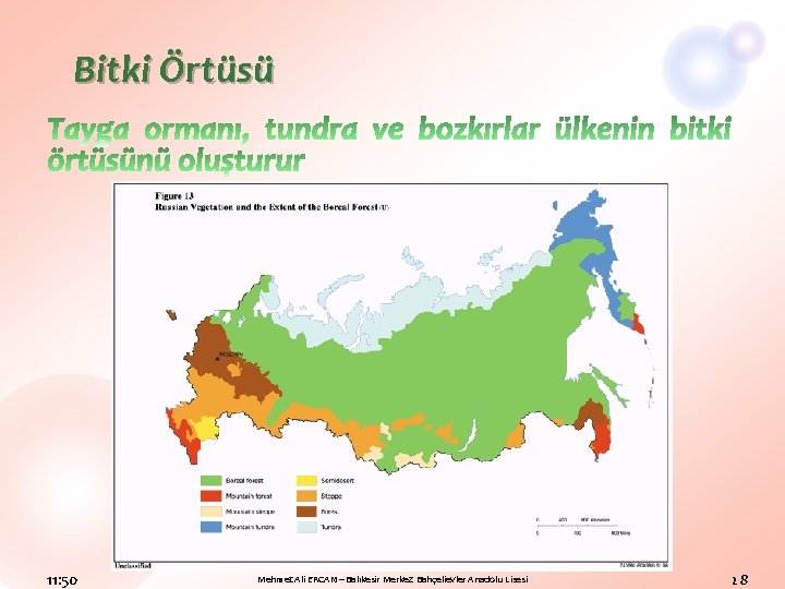 Bitki Örtüsü 11: 50 Mehmet Ali ERCAN – Balıkesir Merkez Bahçelievler Anadolu Lisesi 28