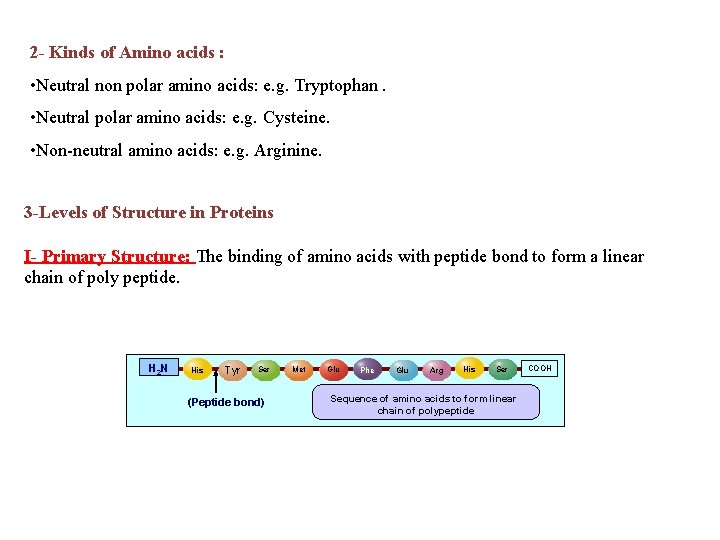 2 - Kinds of Amino acids : • Neutral non polar amino acids: e.