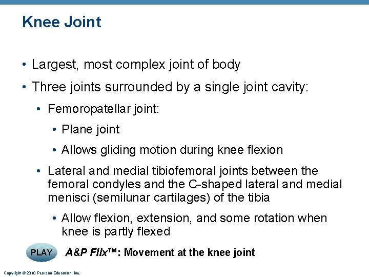 Knee Joint • Largest, most complex joint of body • Three joints surrounded by