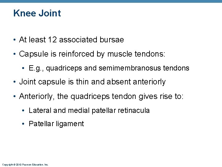 Knee Joint • At least 12 associated bursae • Capsule is reinforced by muscle Knee Joint • At least 12 associated bursae • Capsule is reinforced by muscle