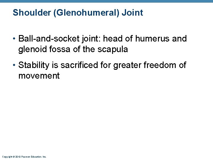 Shoulder (Glenohumeral) Joint • Ball-and-socket joint: head of humerus and glenoid fossa of the