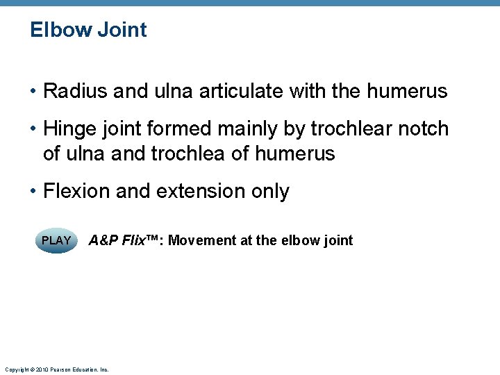 Elbow Joint • Radius and ulna articulate with the humerus • Hinge joint formed