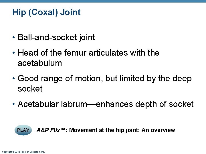 Hip (Coxal) Joint • Ball-and-socket joint • Head of the femur articulates with the