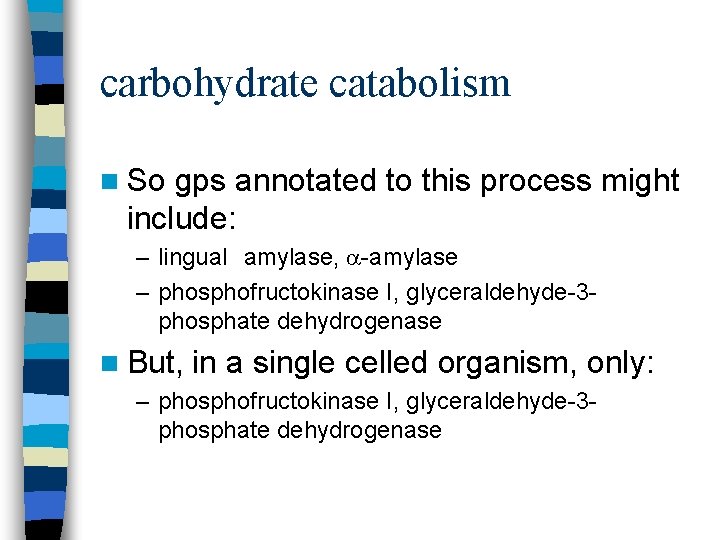 carbohydrate catabolism n So gps annotated to this process might include: – lingual amylase,