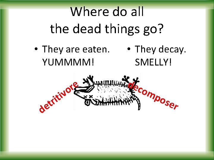 Where do all the dead things go? • They are eaten. YUMMMM! i r