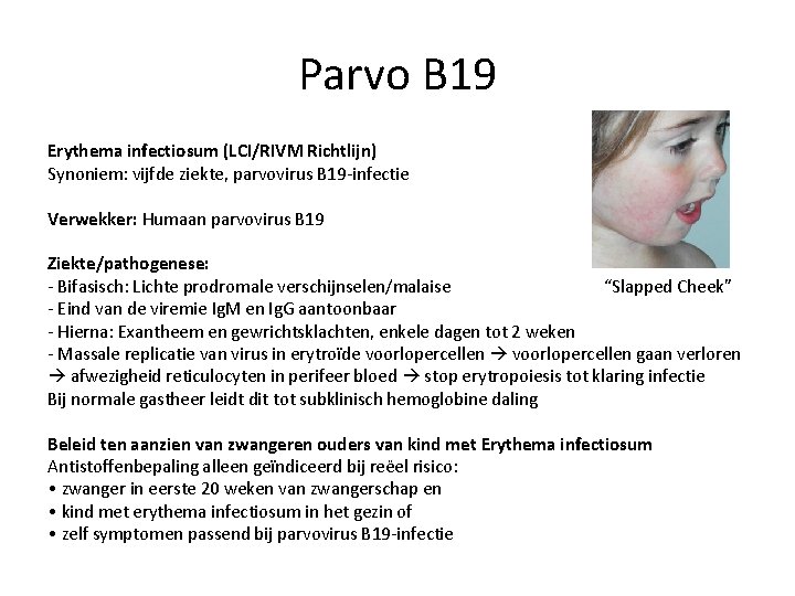 Parvo B 19 Erythema infectiosum (LCI/RIVM Richtlijn) Synoniem: vijfde ziekte, parvovirus B 19 -infectie