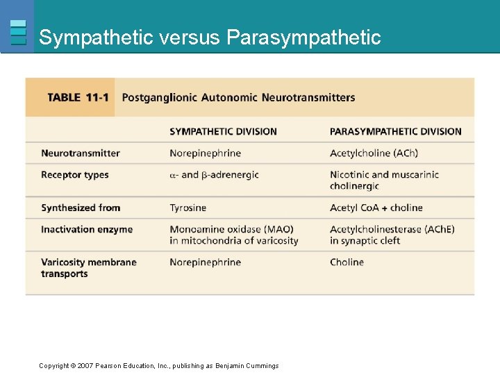 Sympathetic versus Parasympathetic Copyright © 2007 Pearson Education, Inc. , publishing as Benjamin Cummings