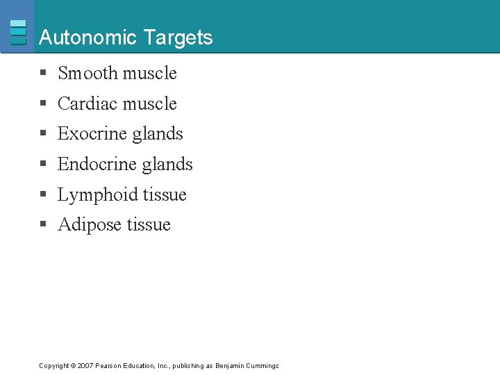 Autonomic Targets § Smooth muscle § Cardiac muscle § Exocrine glands § Endocrine glands