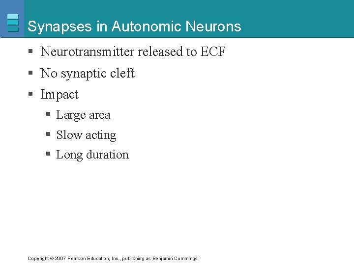 Synapses in Autonomic Neurons § Neurotransmitter released to ECF § No synaptic cleft §